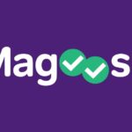 Magoosh Alternatives