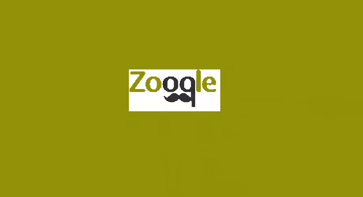 zoqqle