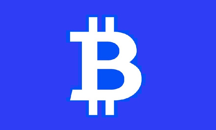 BTC Wallet: Bitcoin Exchange