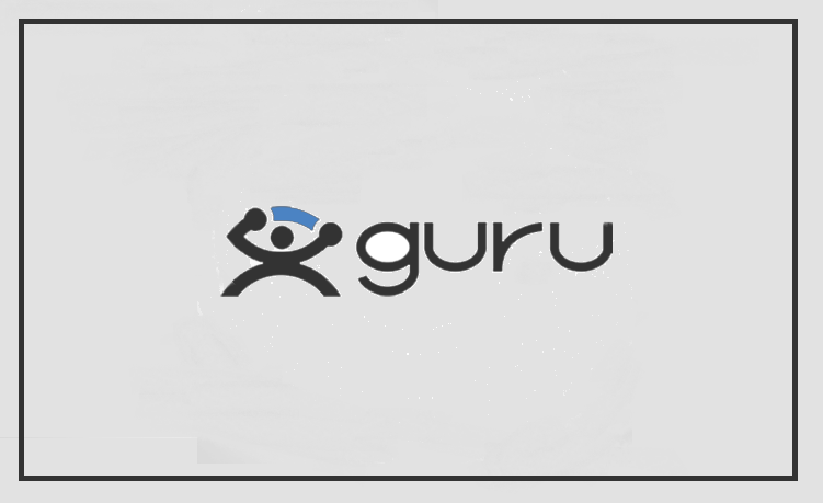 Guru Alternatives