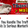 Website-Traffic-Hog Alternatives