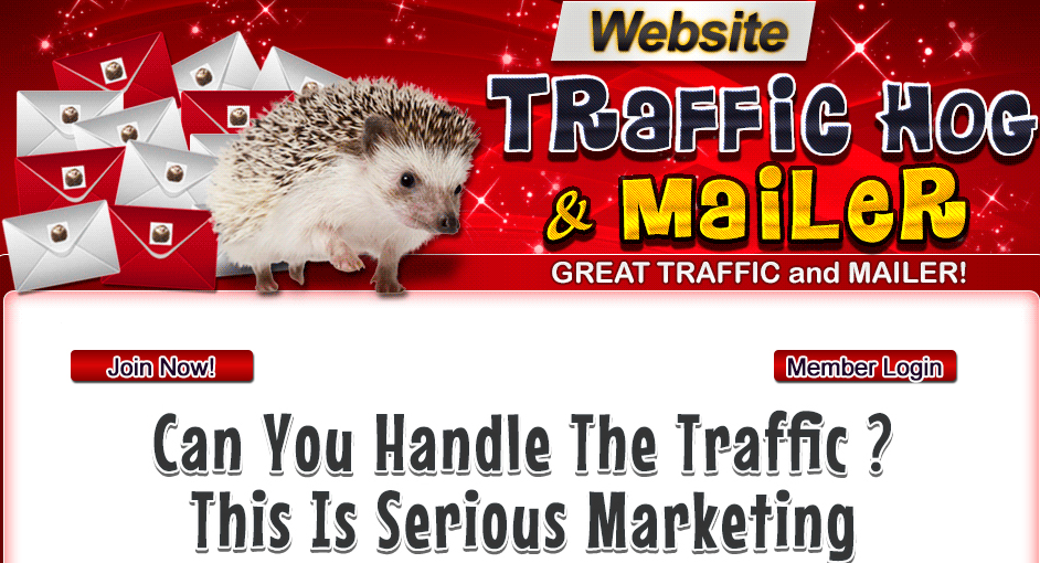 Website-Traffic-Hog Alternatives