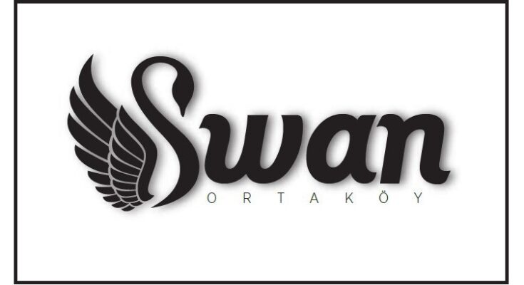 Design Swan Alternatives
