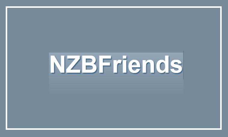 NZBFriends Alternatives