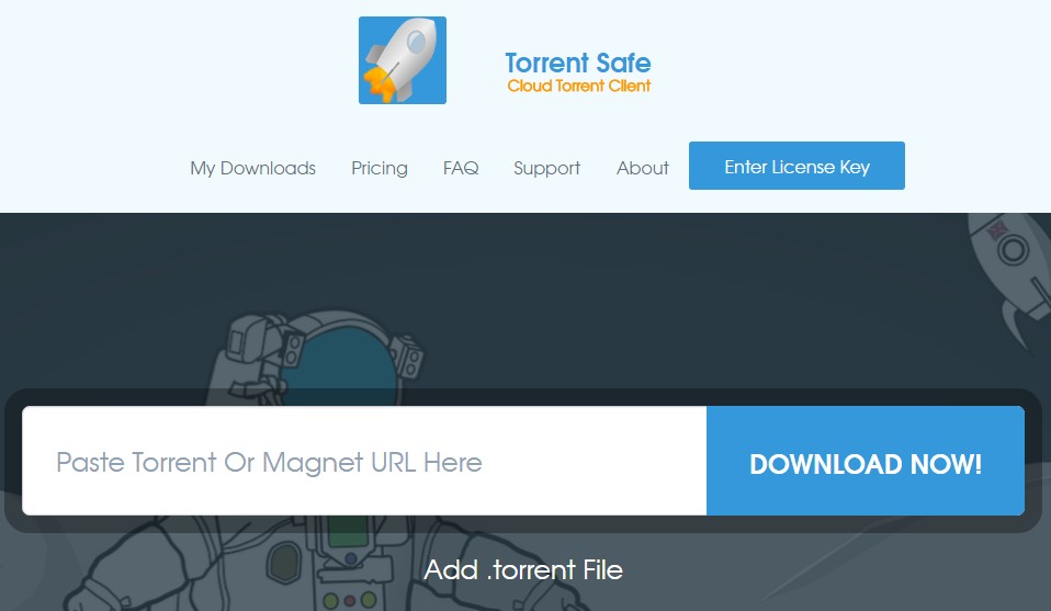 TorrentSafe