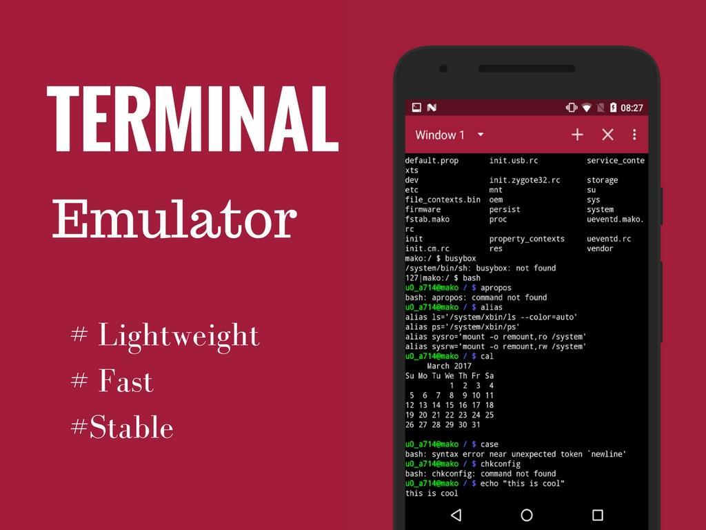 terminal emulator