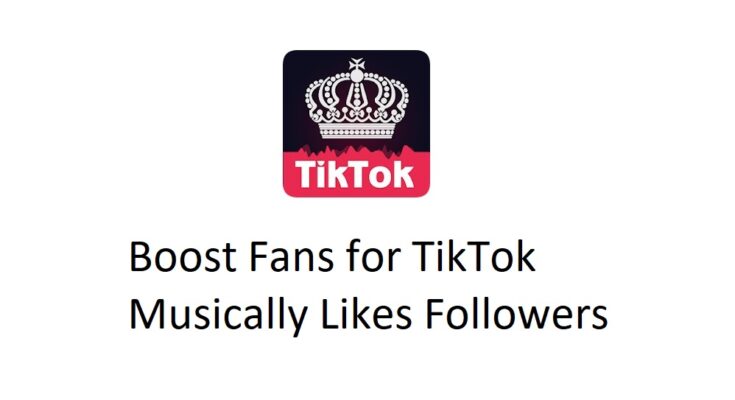 Boost Fans for TikTok Alternatives