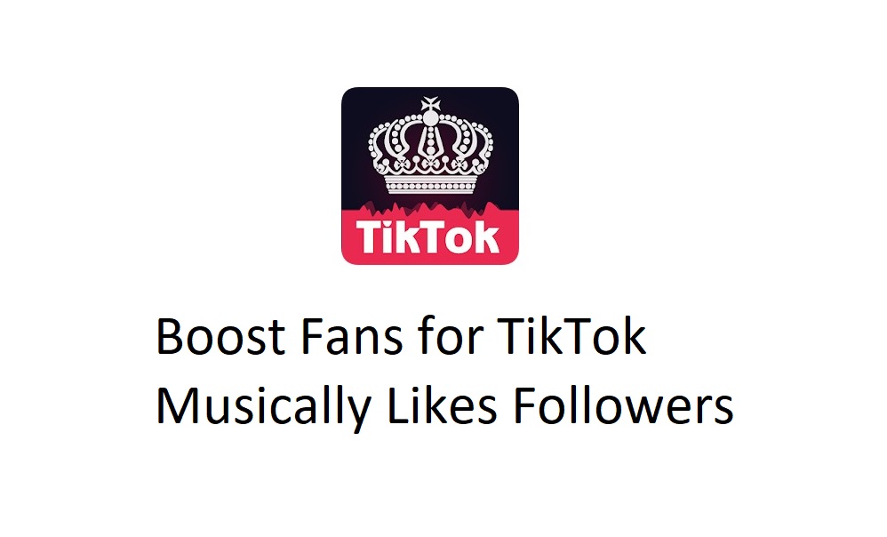 Boost Fans for TikTok Alternatives