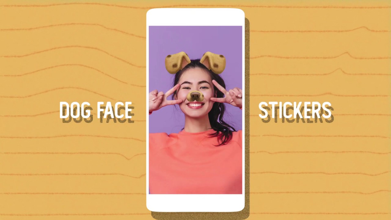 Face Camera Live Stickers