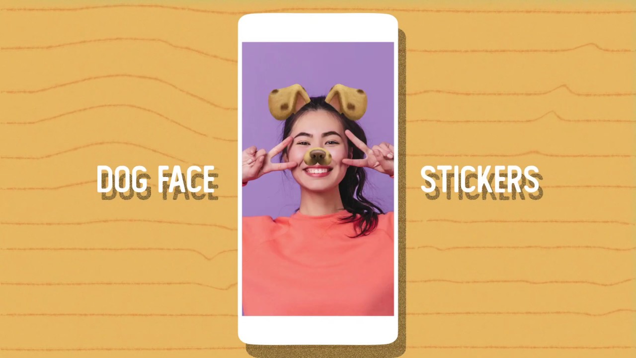 Face Camera: Live Stickers