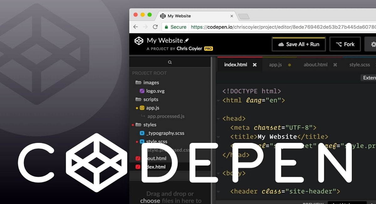 CodePen