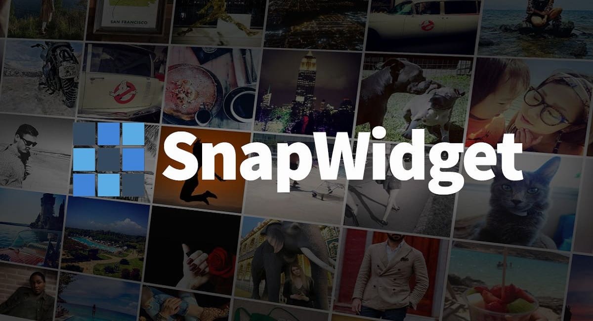 SnapWidget