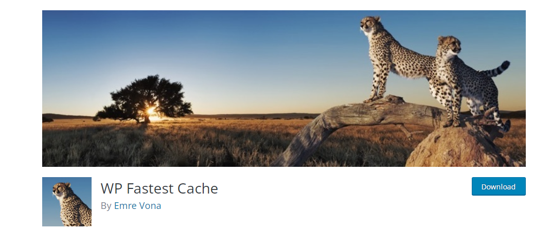 WP Fastest Cache