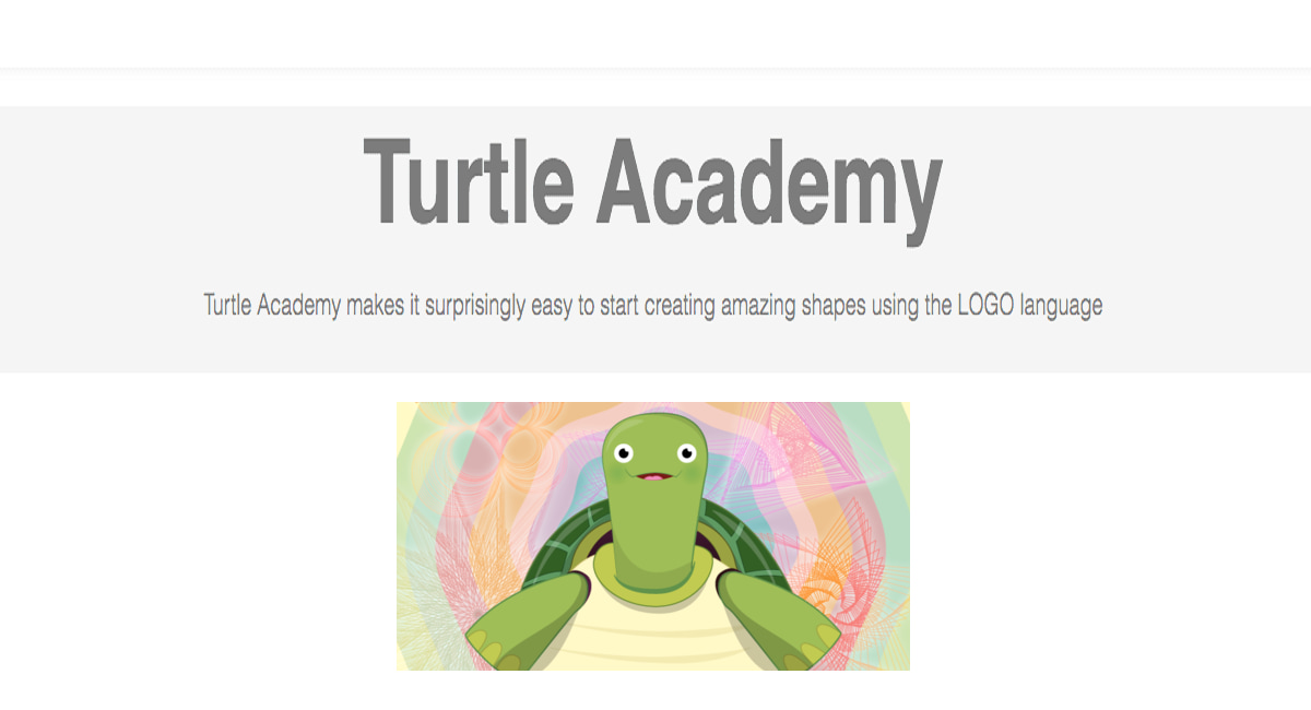 Turtle Academy