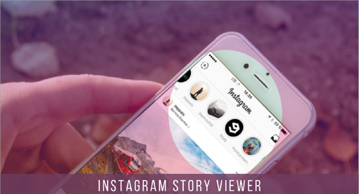 instagram story viewer