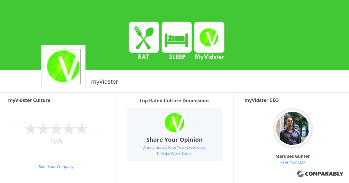 Myvidster