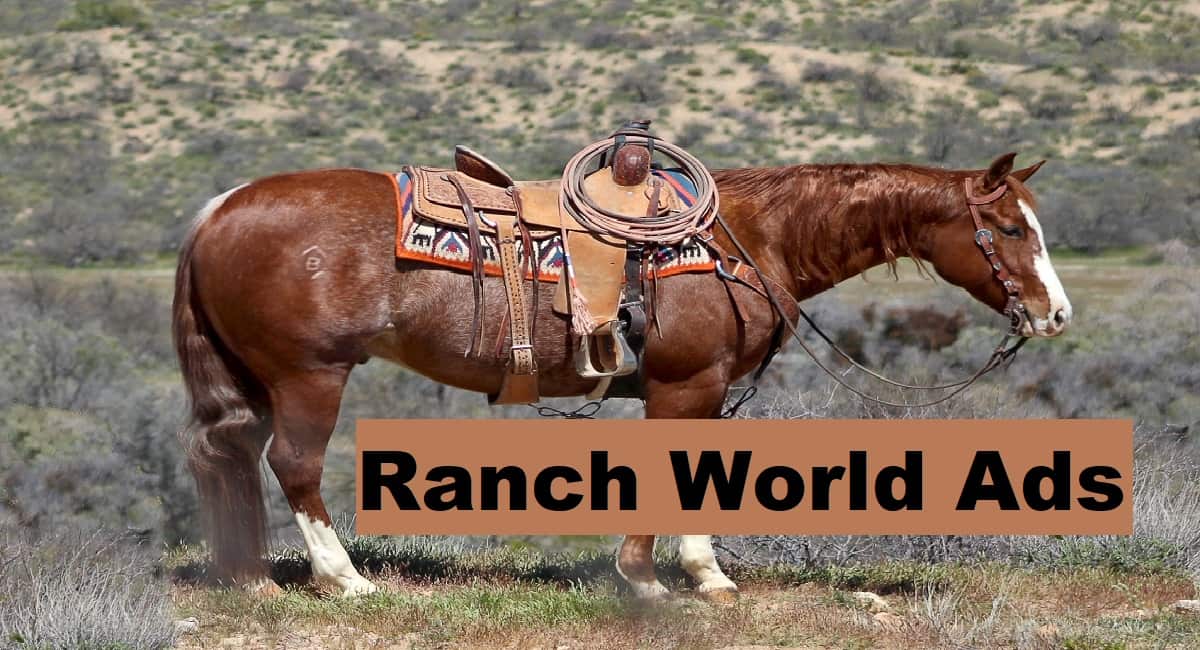 ranch world ads