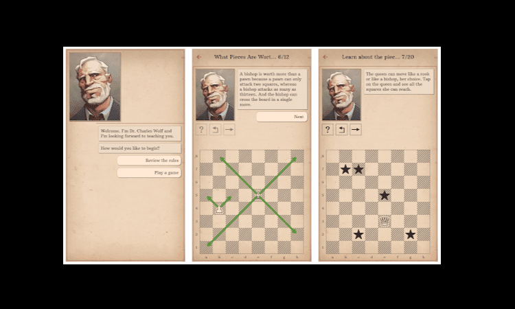 Learn Chess with Dr. Wolf