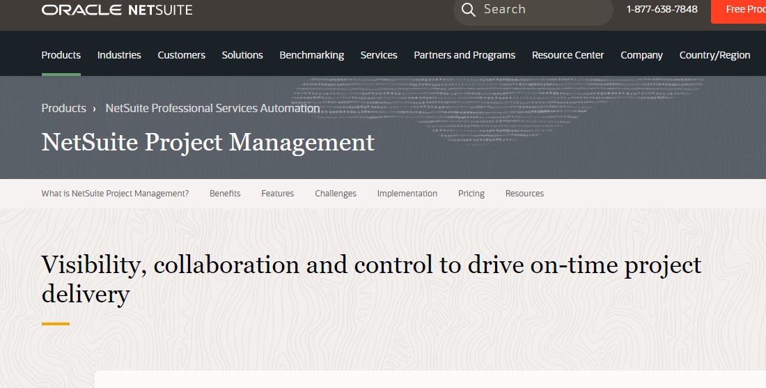 Netsuite project managment