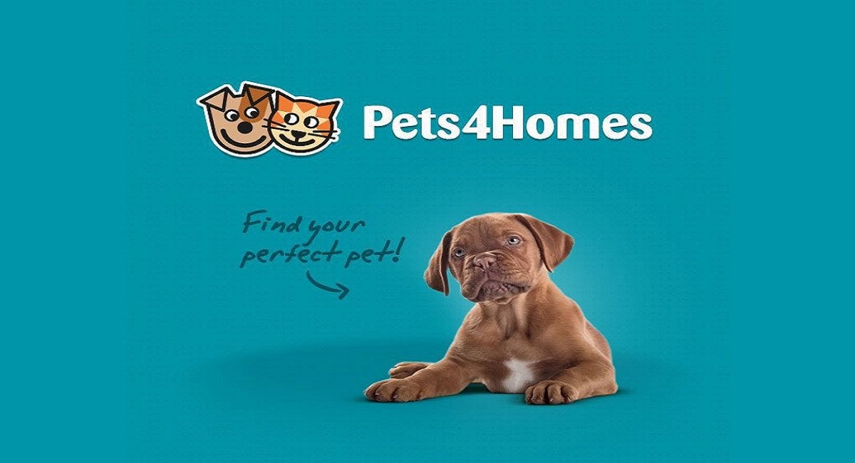 12 Sites Like Pets4Homes Just Alternative To