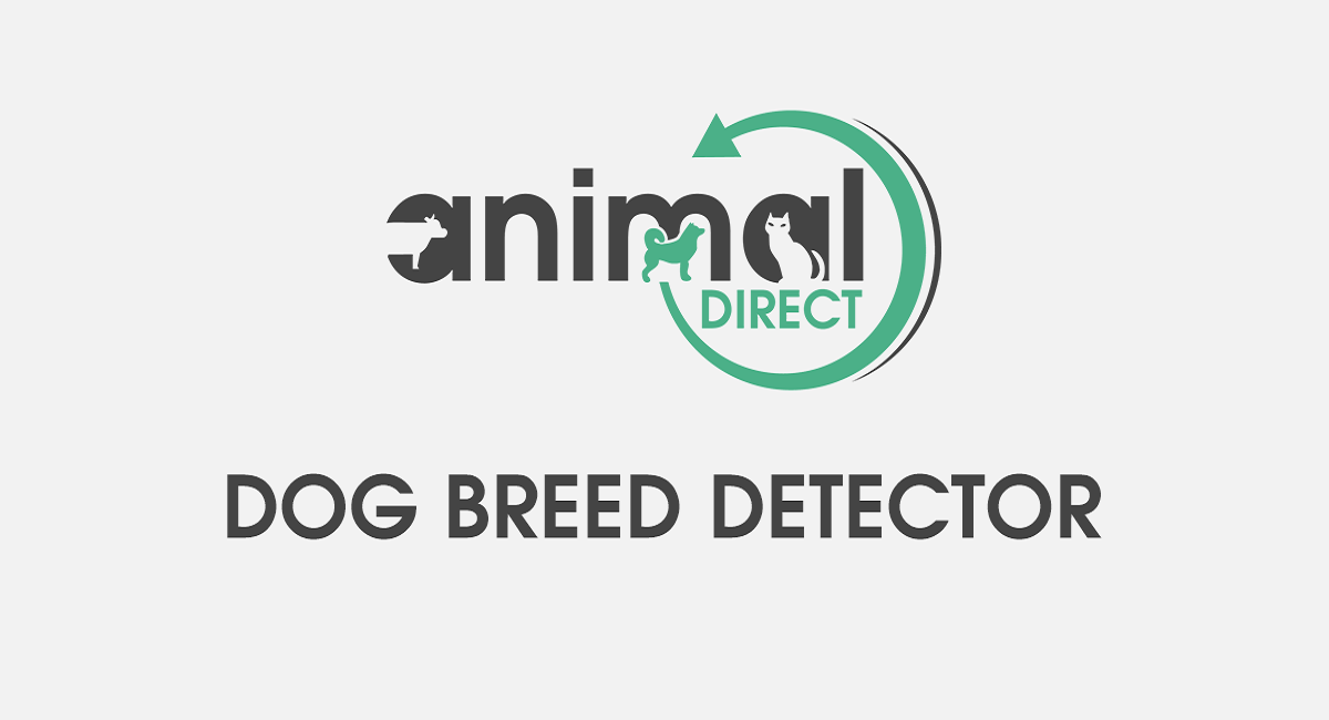 Animal.Direct