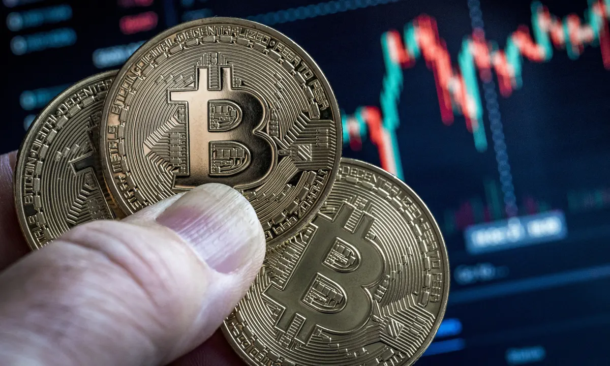 BTC Holders