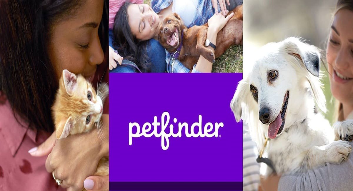 Petfinder