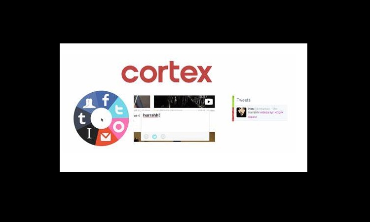 Cortex