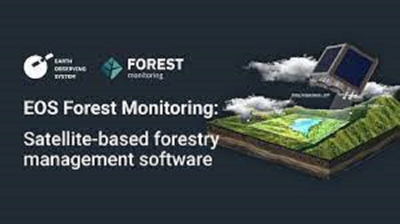 EOSDA Forest Monitoring