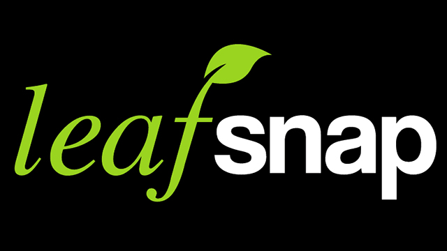 LeafSnap