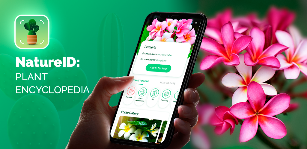 NatureID: Plant Identification