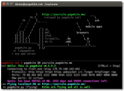 PageKite