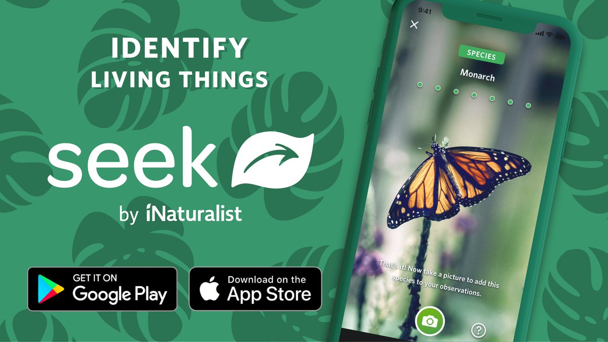 Seek by iNaturalist