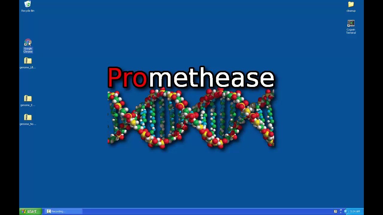 promethease