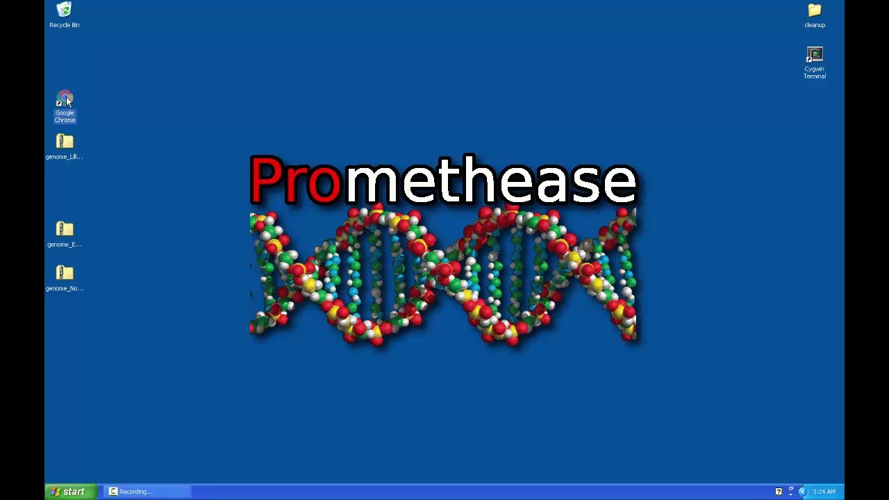 Promethease
