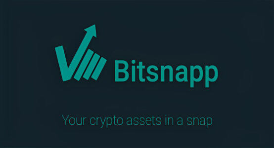 Bitsnapp Portfolio