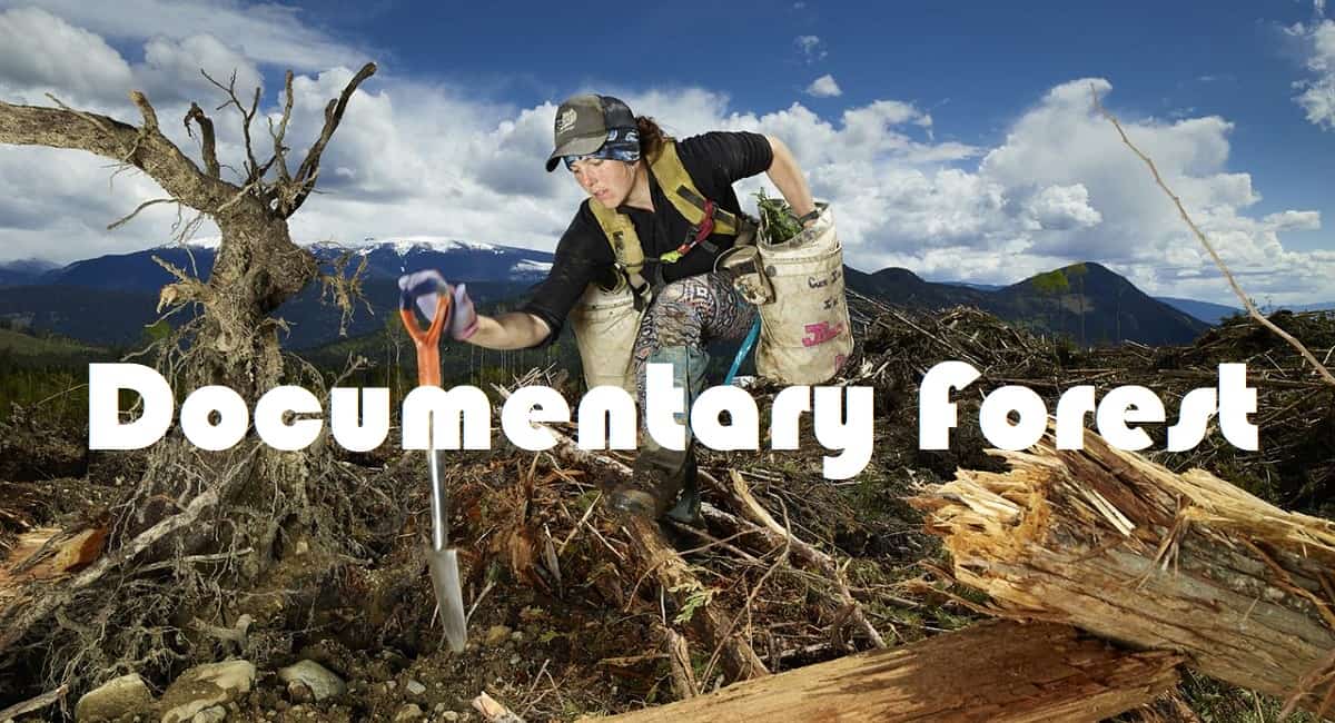 Documentary Forest