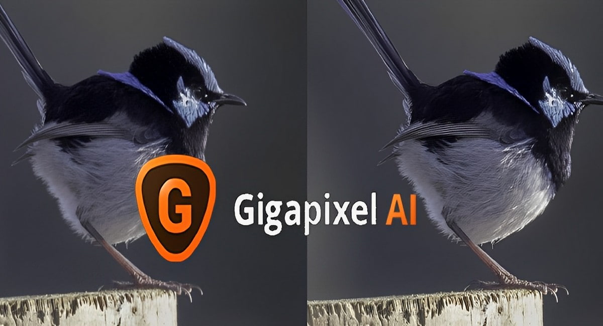 Gigapixel AI