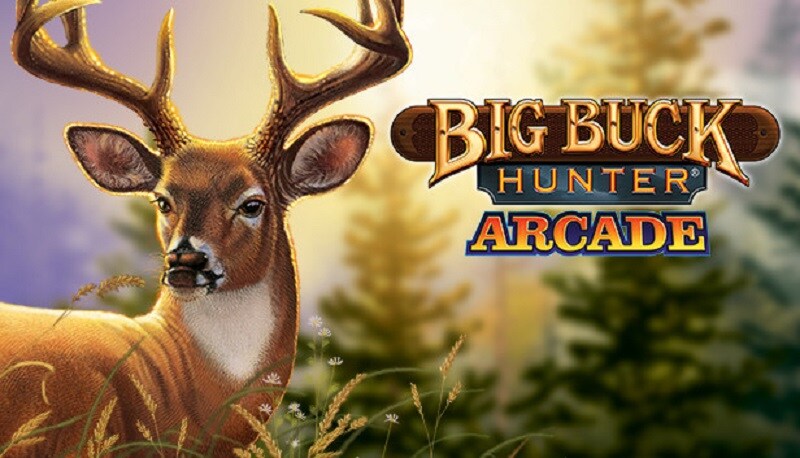 Big Buck Hunter Arcade