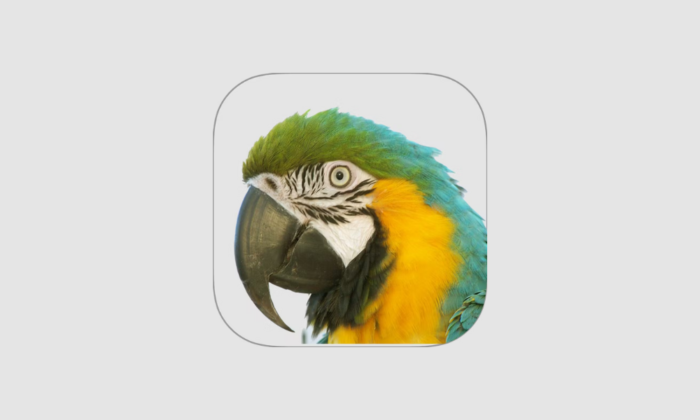 Macaw AMS