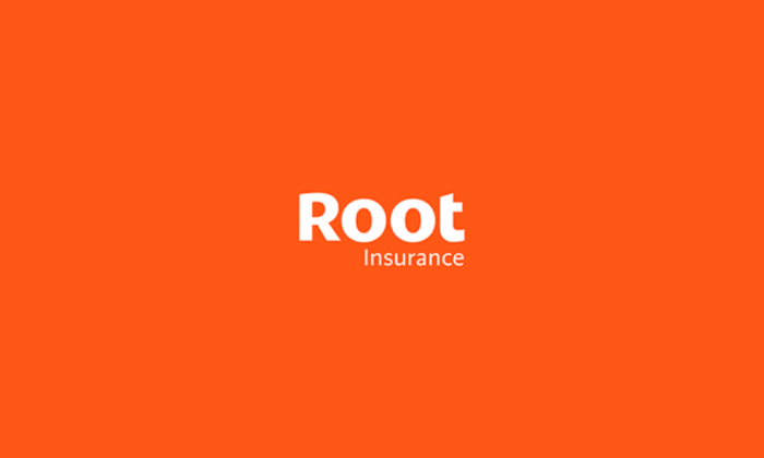 Root