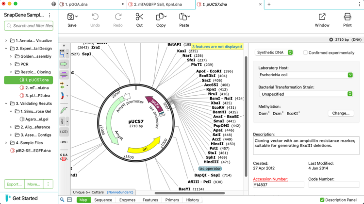 SnapGene