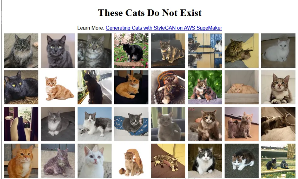 These Cats Do Not Exist