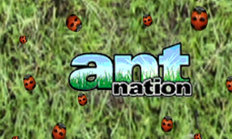 Ant Nation