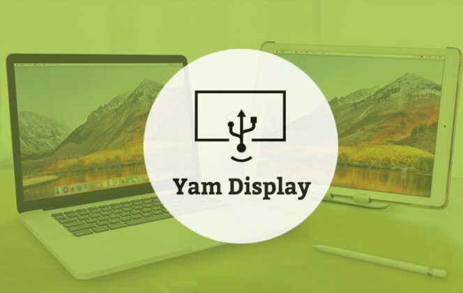 Yam Display