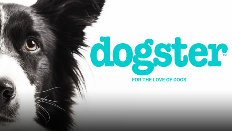 Dogster Online