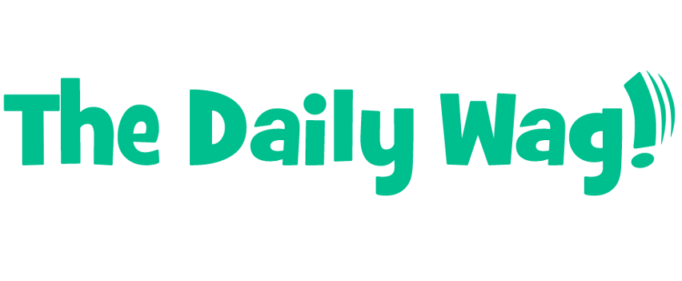 The Daily Wag