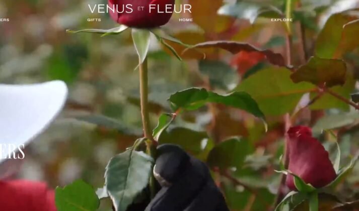 Venus et Fleur