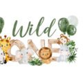 Wild One