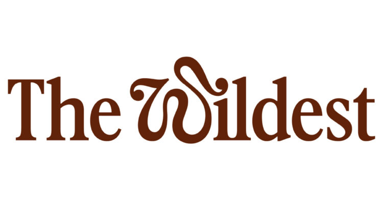 The Wildest